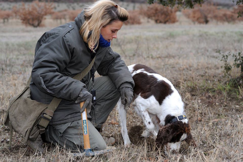 Audrey Events en Provence wedding planner