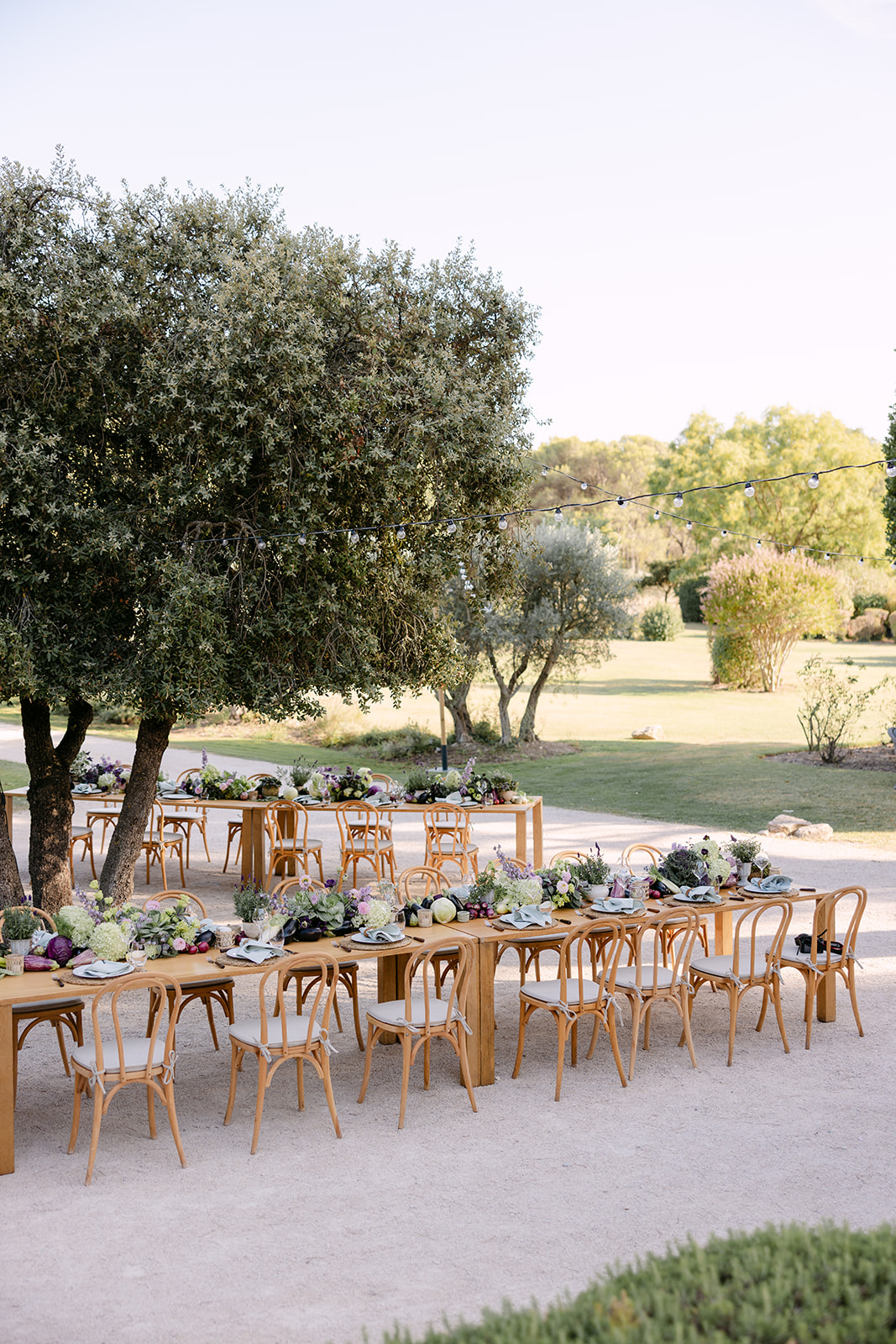 Mariage saisons en Provence - Events en Provence © Mas de la Rose