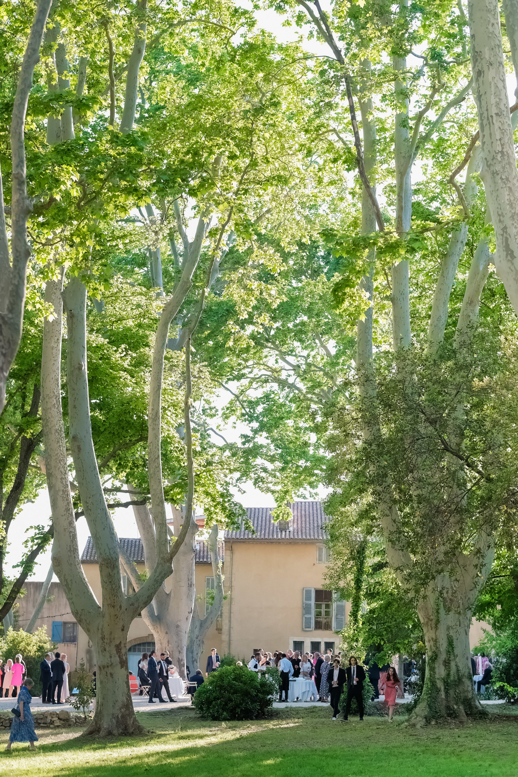 © Smoy Photography - Franck BOUTONNET