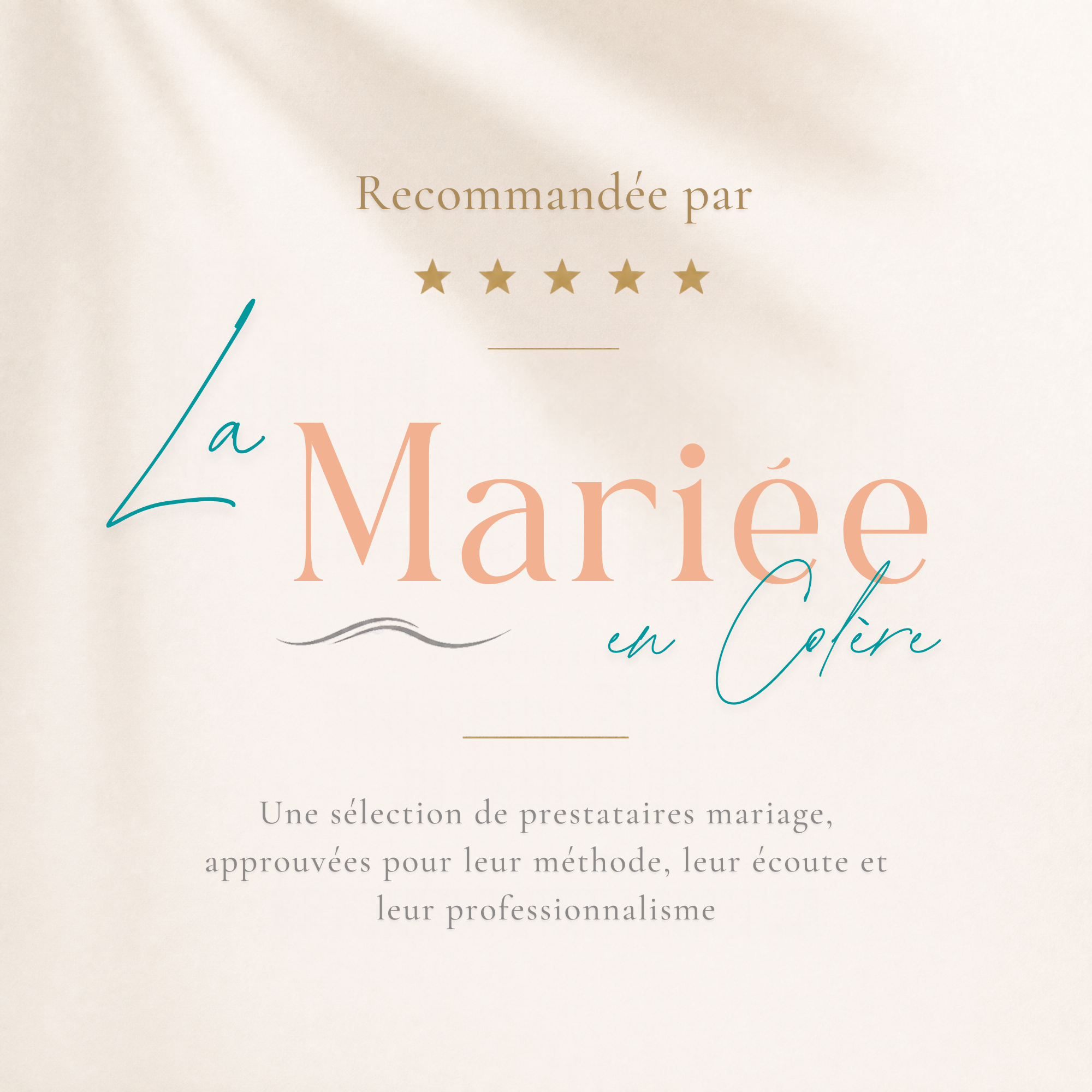 logo macaron blog la mariée en colère